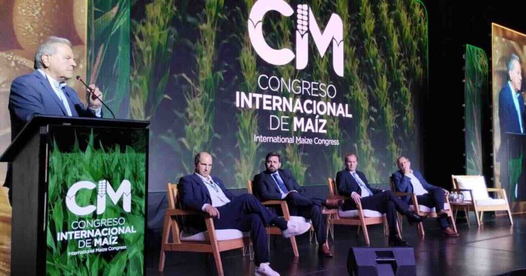 Maíz, Congreso, Rosario, Santa Fe