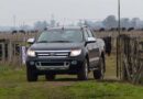 Pick-ups, Ford Ranger, pickups