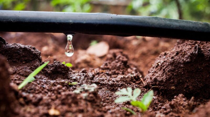 Riego Inteligente, Riego por Goteo