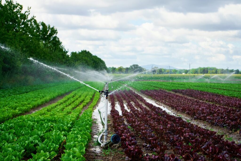 Riego, Tecnología, Campo