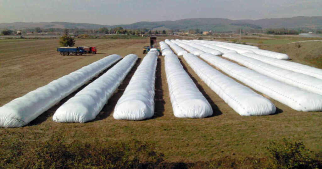 Silobolsa, Campo, Granos