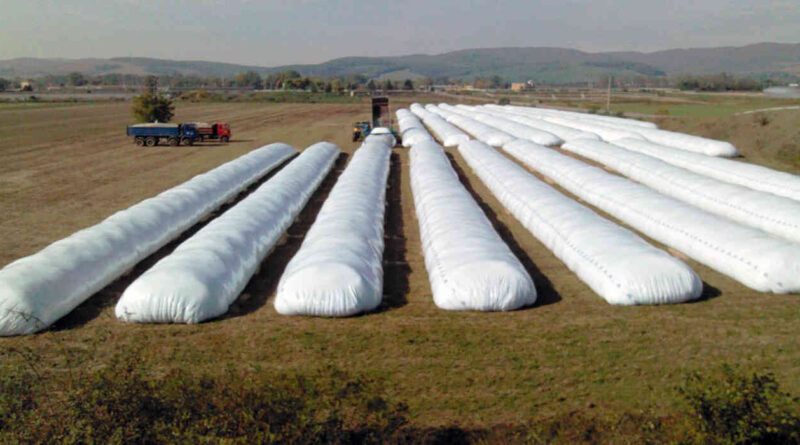 Silobolsa, Campo, Granos