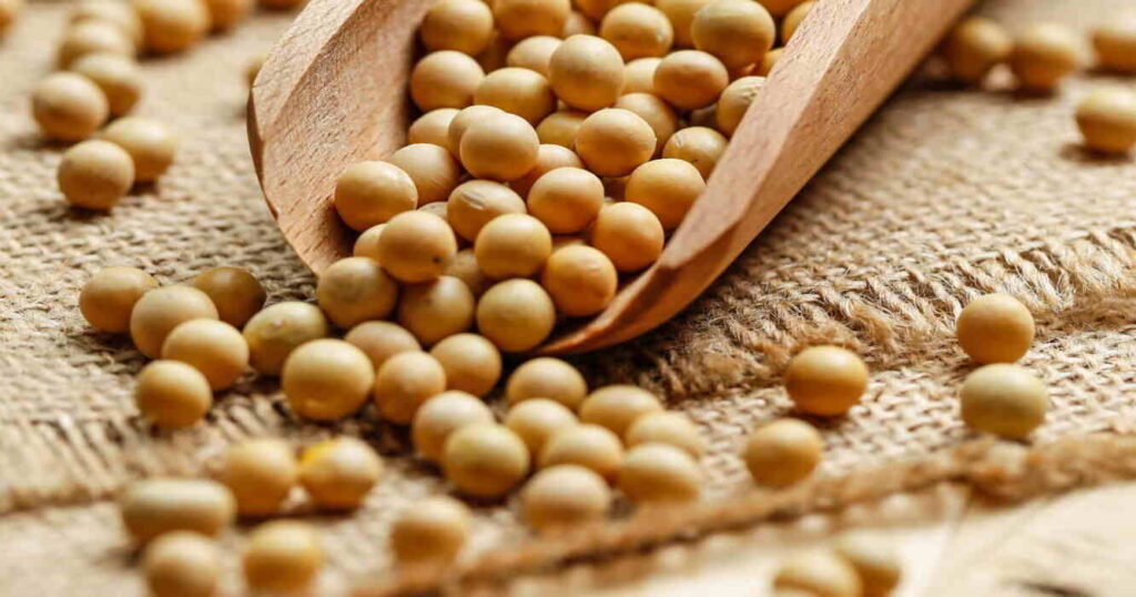 Soja, Biofertilizante, Ciencia, Conicet