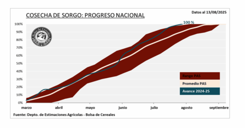 Sorgo, Informe