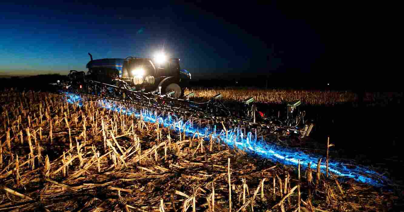 Tecnología láser revoluciona análisis de semillas y cultivos