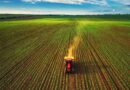 Tierra Agrícola, Campo, Estados Unidos