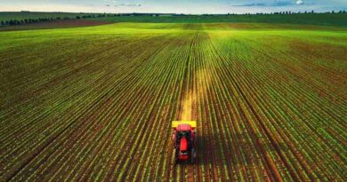 Tierra Agrícola, Campo, Estados Unidos