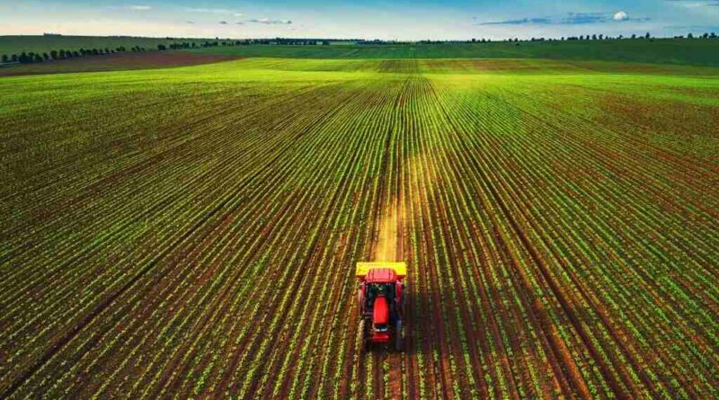 Tierra Agrícola, Campo, Estados Unidos