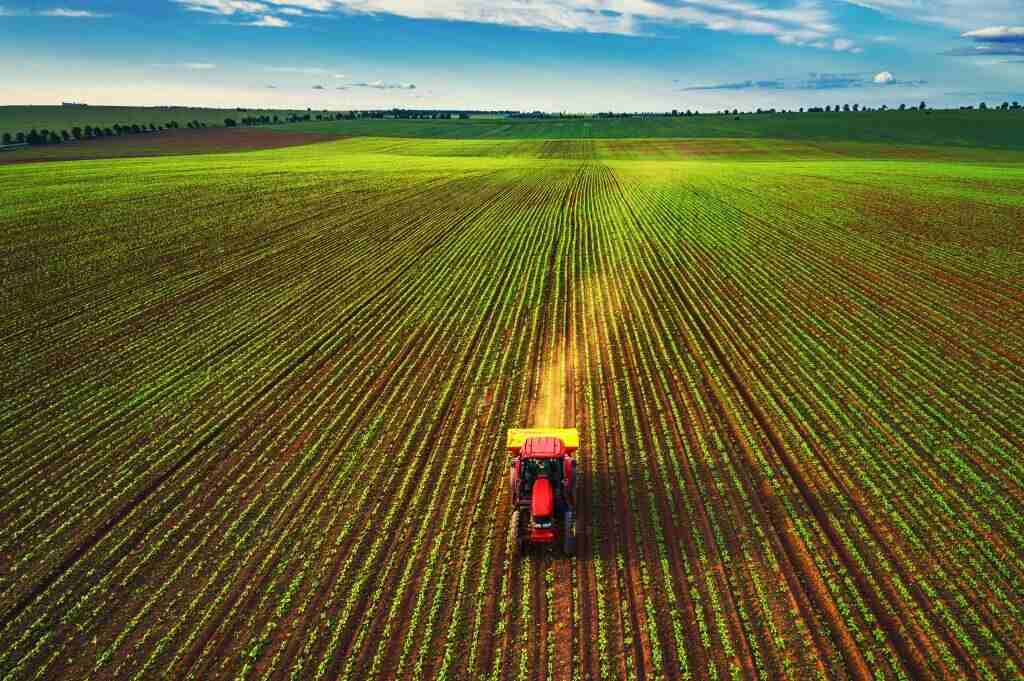 Tierra Agrícola, Campo, Estados Unidos