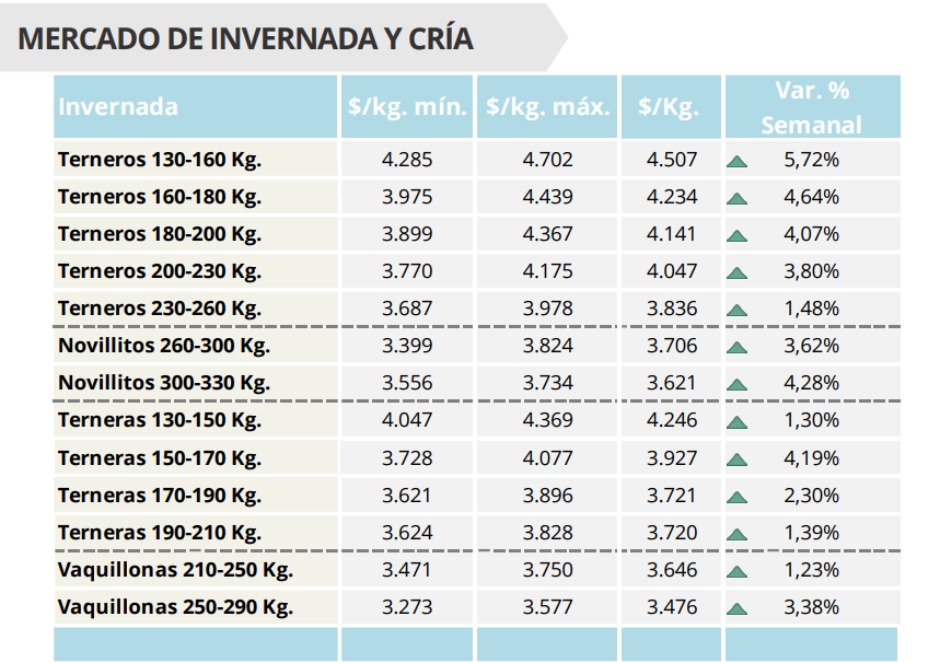 Ganadería, invernada, mercado