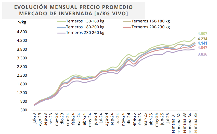 Ganadería, invernada, mercado