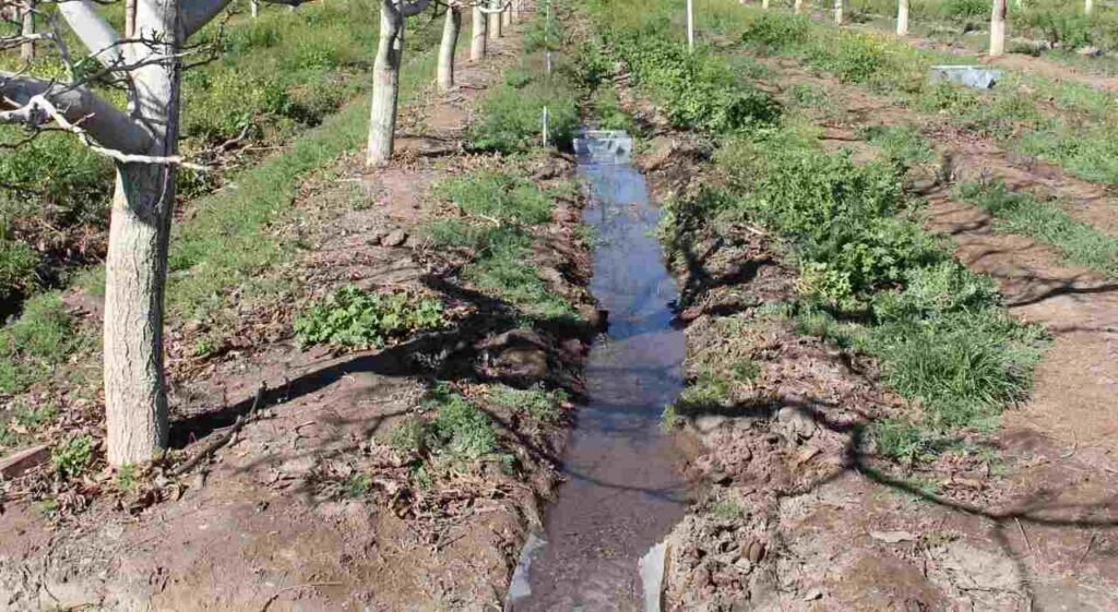 Canales de Riego