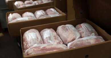 Cerdo in Natura, Brasil