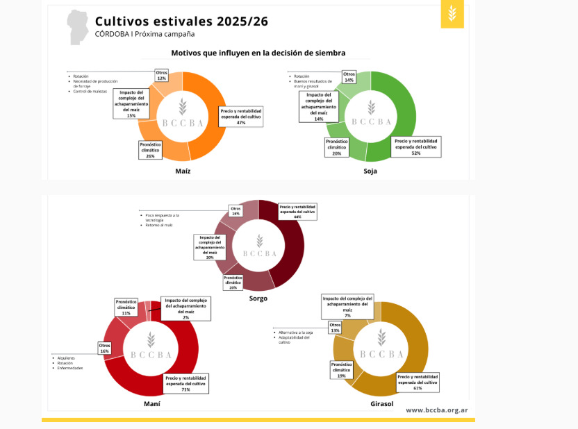Córdoba, Cultivos, Siembra