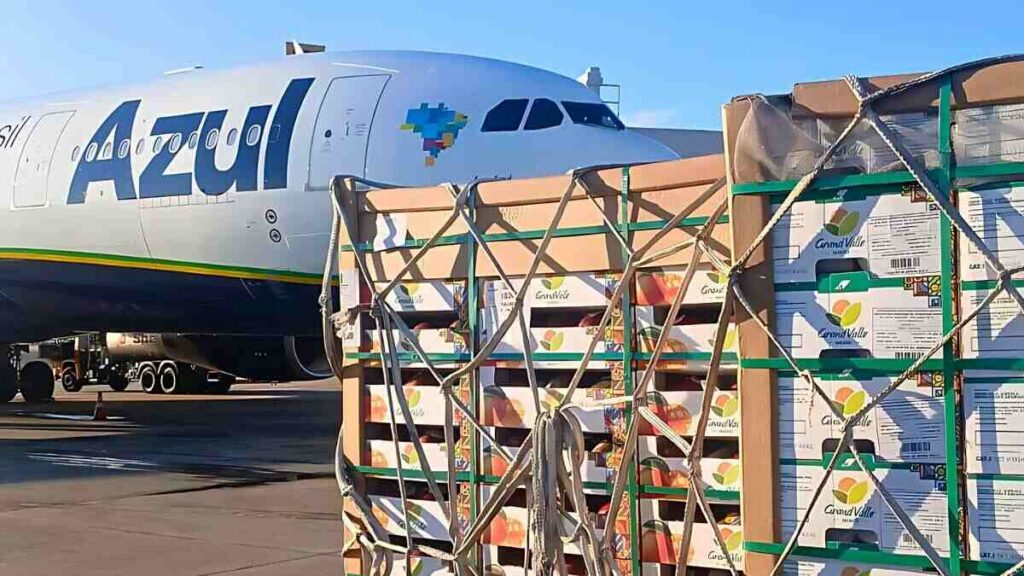 Exportaciones, Avión