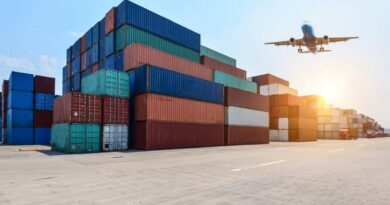 Exportaciones, Avión, Agroexportaciones, Salvaguardias Agrícolas, agroindustrial