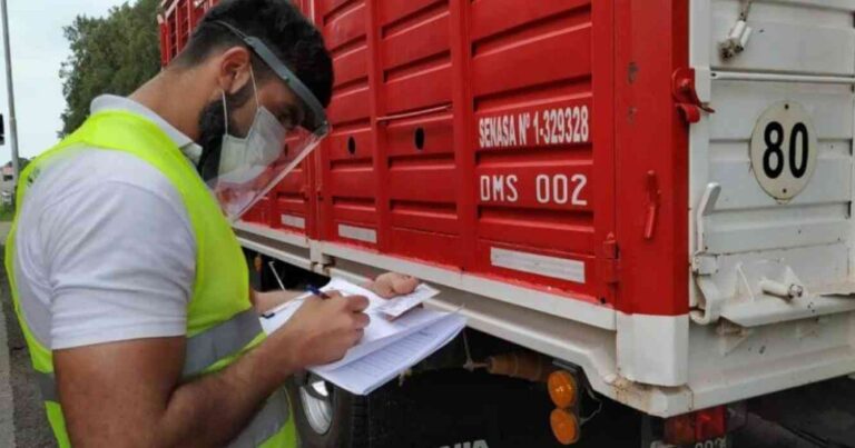 Ganadería, transporte, senasa, brucelosis bovina