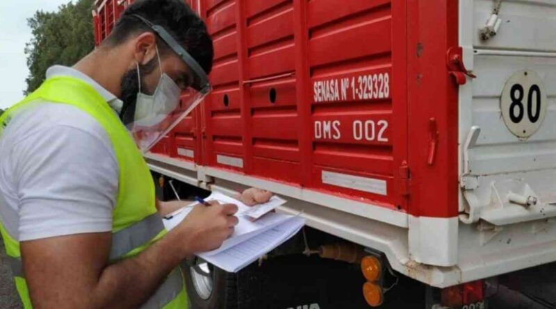 Ganadería, transporte, senasa, brucelosis bovina