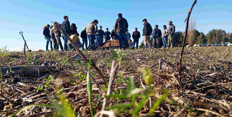 Labranza Ocasional, Malezas, Agricultura, Campo