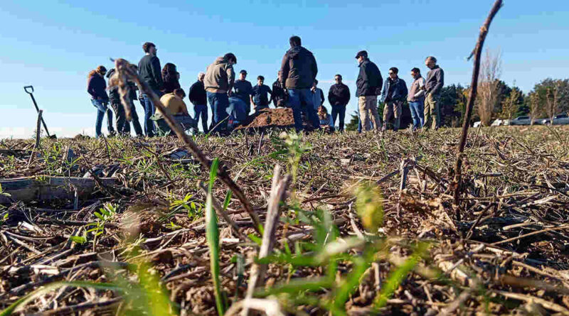 Labranza Ocasional, Malezas, Agricultura, Campo
