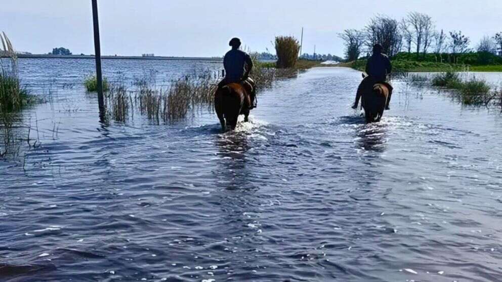 Tormenta de Santa Rosa, 2025, Inundaciones
