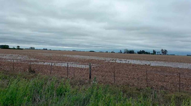 Tormenta de Santa Rosa, Campo, Inundaciones