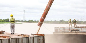 Trigo, Embarques, DJVE, Exportaciones