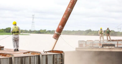Trigo, Embarques