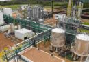 biodiésel, biocombustible