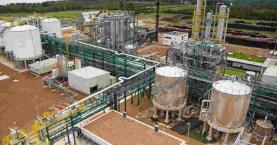 biodiésel, biocombustible