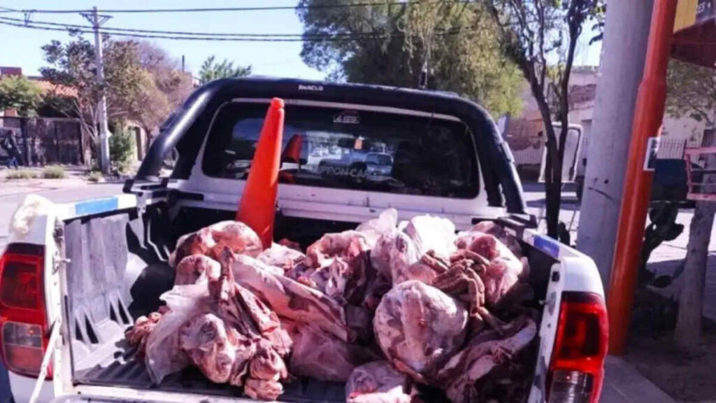 Carne, Camioneta