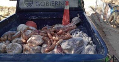 Carne, Mal Estado, Mendoza