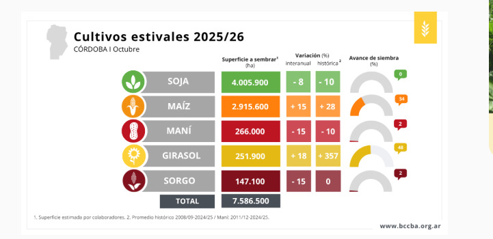 Córdoba, cultivos estivales