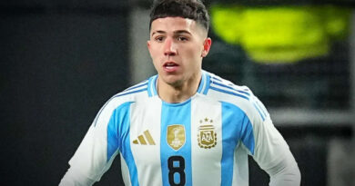 Enzo Fernández, Selección