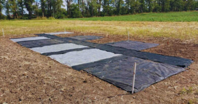 Malezas, Radiación Solar