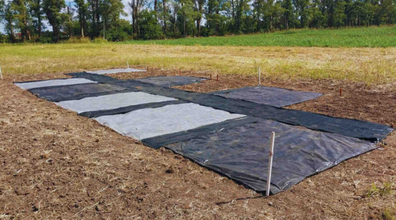 Malezas, Radiación Solar