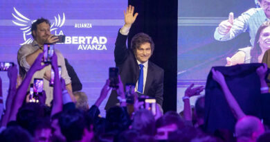 Javier Milei, Elecciones 2025