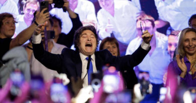 Javier Milei, Elecciones 2025