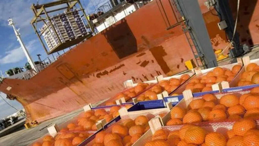 Naranjas, Exportaciones