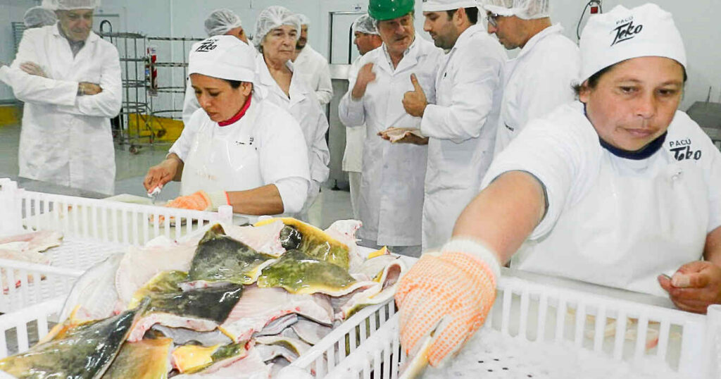 Pacú Chaqueño, Exportación, Los Ángeles, Estados Unidos