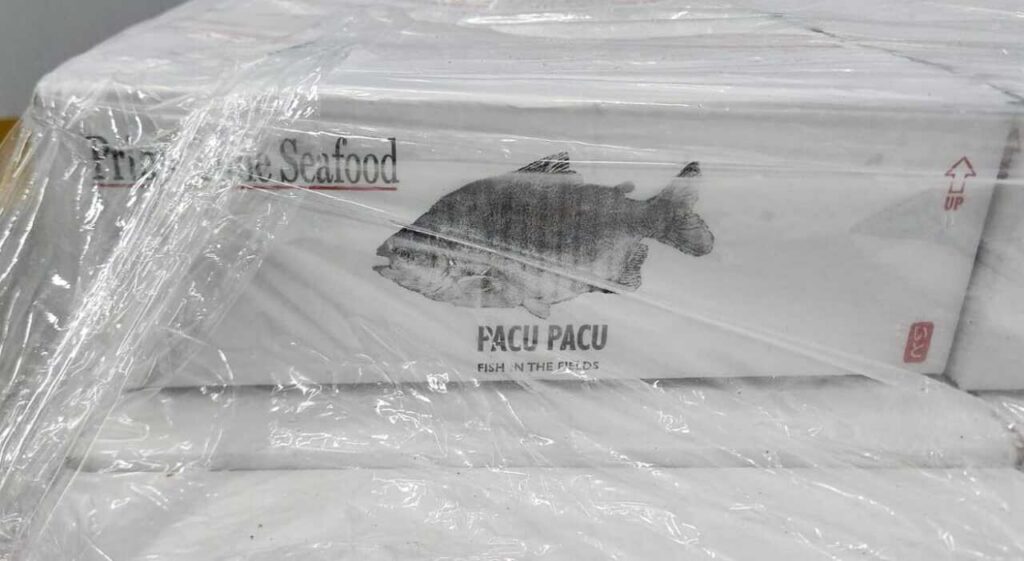 Pacú Chaqueño, Exportación, Estados Unidos