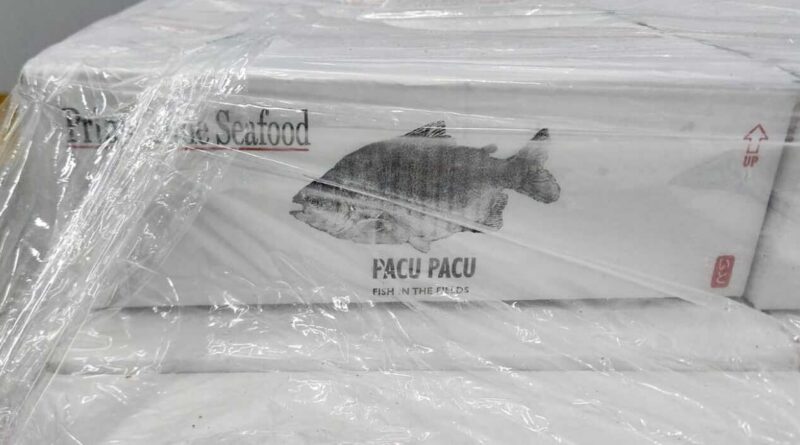 Pacú Chaqueño, Exportación, Estados Unidos