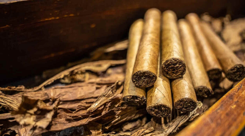 Tabaco, Cigarro
