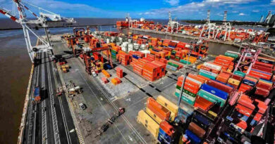 Exportaciones, Brasil