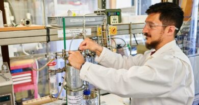 Yerba Mate, Bioaceite, CONICET