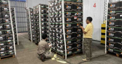 Entre Ríos, Naranjas, Exportación