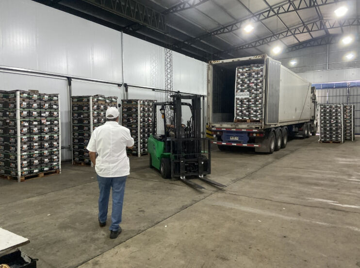 Entre Ríos, naranjas, exportación