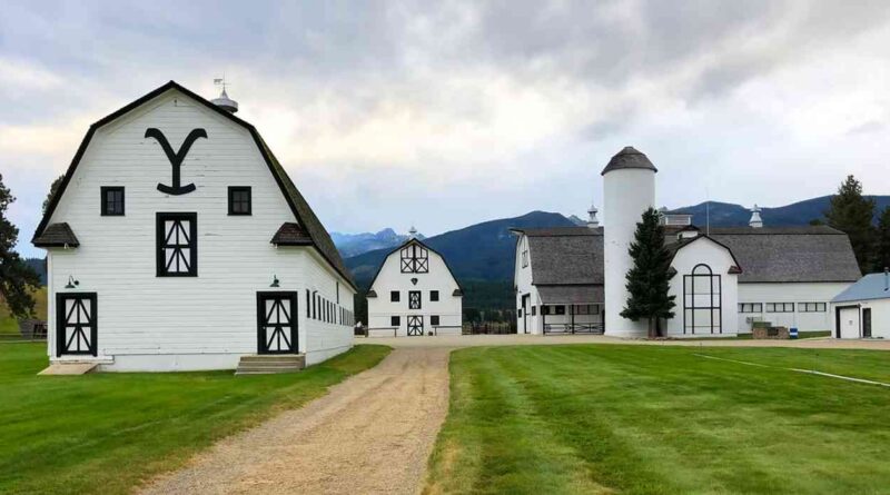Yellowstone, campo, historia, ganadería