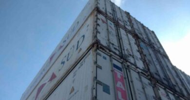 Exportaciones, bovino, sudáfrica, argentina