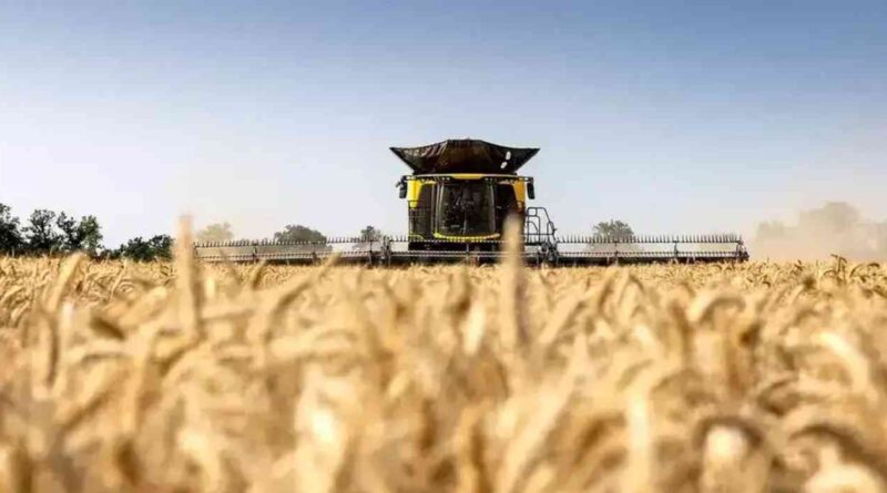 Cosechadora, New Holland, potente, mundo, argentina, maquinaria agrícola, zona núcleo